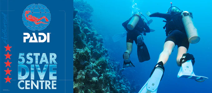 PADI 5 Star Dive Centre